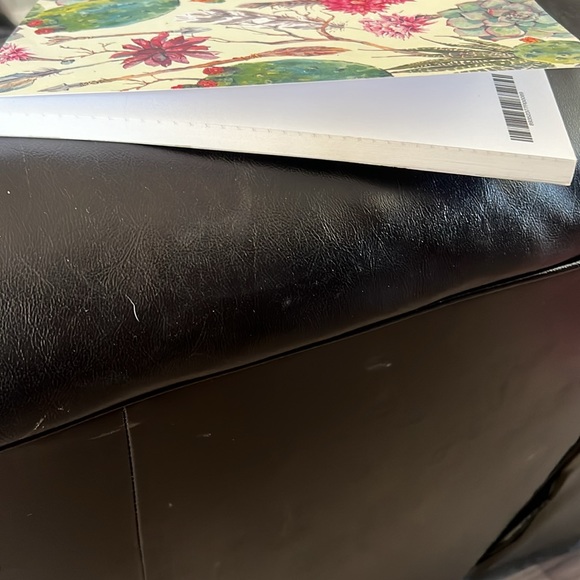 Cactus and Succulent Bullet Journal - Picture 5 of 8